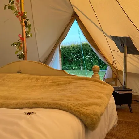 Roe Deer Meadow At Carr House Farm *