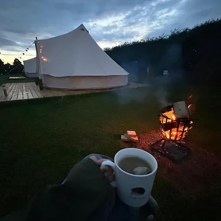 Roe Deer Meadow At Carr House Farm Glamping Scarborough