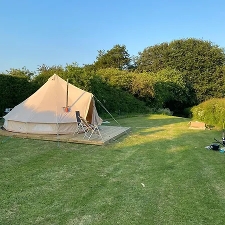 Roe Deer Meadow At Carr House Farm Glamping Scarborough