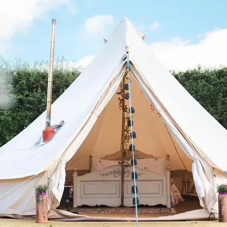 Roe Deer Meadow At Carr House Farm