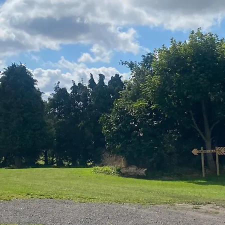 Roe Deer Meadow At Carr House Farm Glamping