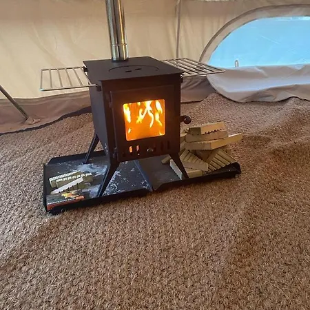 Roe Deer Meadow At Carr House Farm *