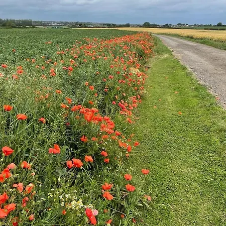 Roe Deer Meadow At Carr House Farm 豪华帐篷