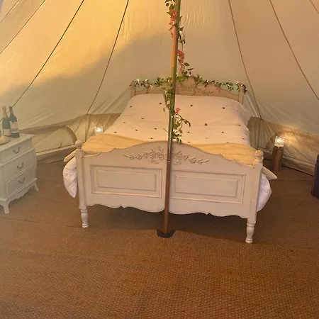 Roe Deer Meadow At Carr House Farm * 斯卡伯勒