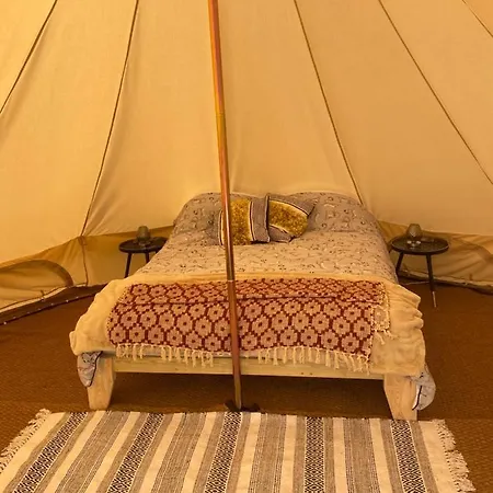 Roe Deer Meadow At Carr House Farm * 斯卡伯勒