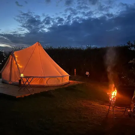 Roe Deer Meadow At Carr House Farm