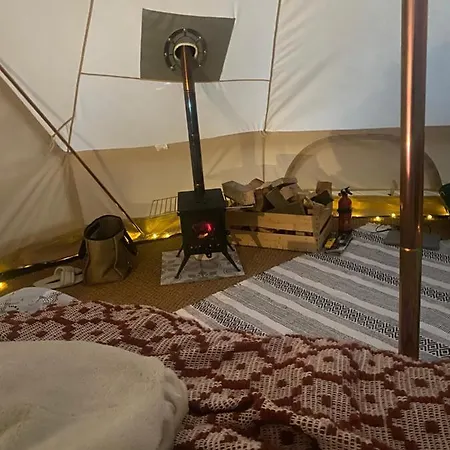 Roe Deer Meadow At Carr House Farm