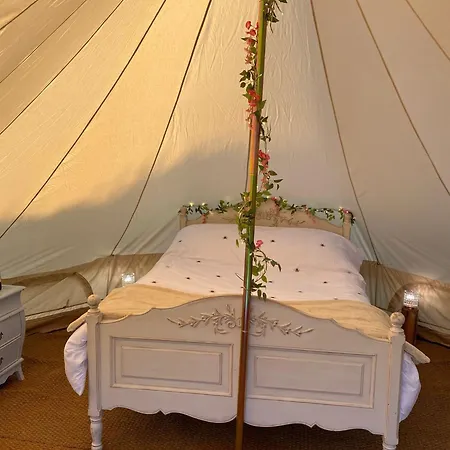 Roe Deer Meadow At Carr House Farm Luxury tent