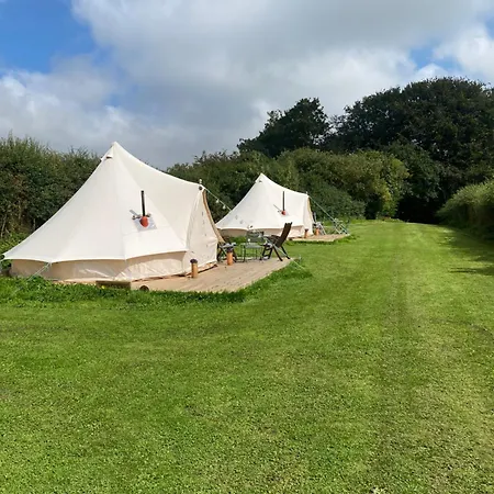 Roe Deer Meadow At Carr House Farm Luxury tent Scarborough