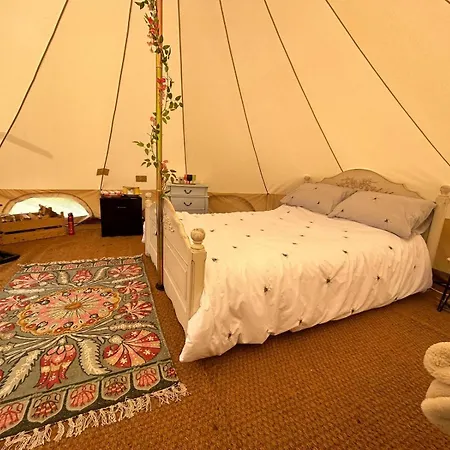 Roe Deer Meadow At Carr House Farm * 斯卡伯勒