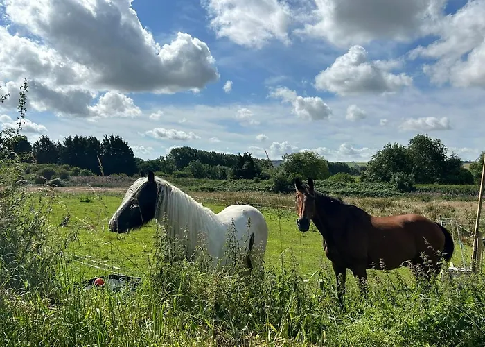 Luxury tent Roe Deer Meadow At Carr House Farm Scarborough