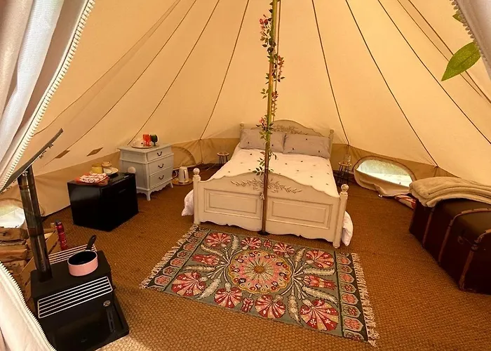 Roe Deer Meadow At Carr House Farm Scarborough