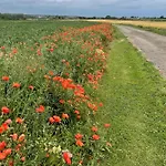 Roe Deer Meadow At Carr House Farm Οργανωμένο κάμπινγκ